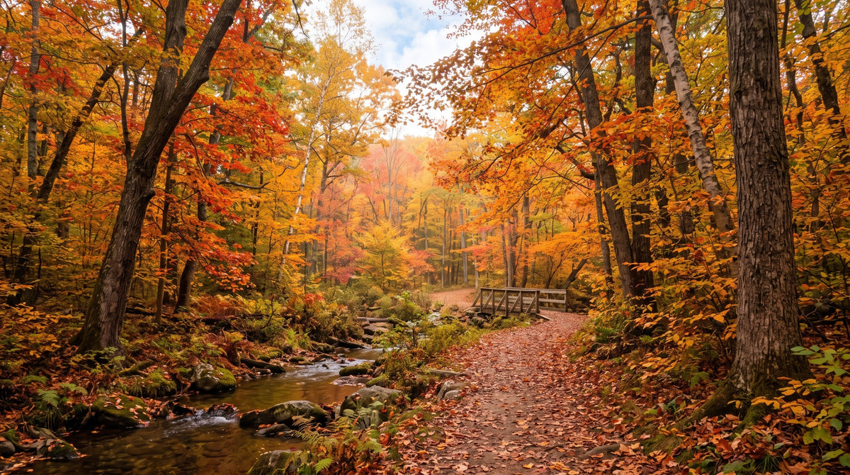 Automne : ce qu'on arrache, ce qu'on sème, ce qu'on nettoie