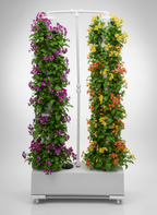 Twin Tower Botaverra garnie de salades sur ses deux colonnes