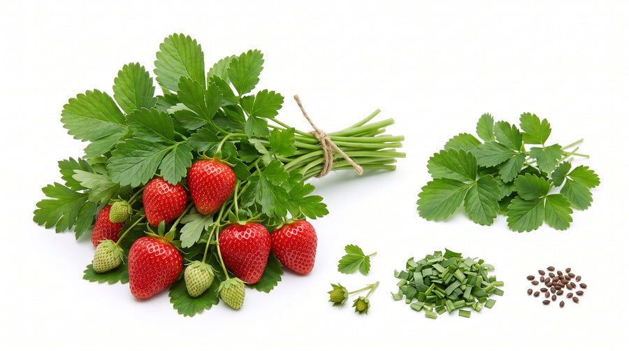 Fraise