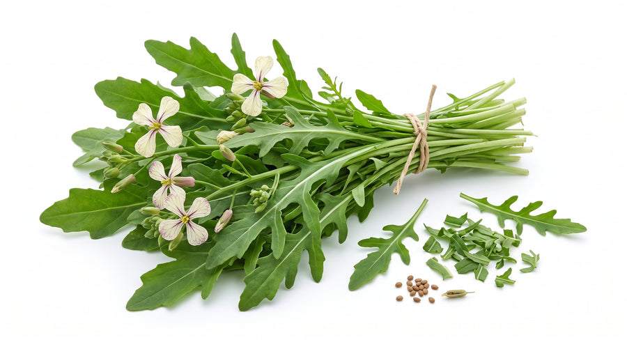 Roquette