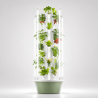 Tour hydroponique Botaverra entière sur fond clair : bac vert sauge, colonne blanche et quatre tubes LED, garnie de fraises, tomates cerises, poivron, laitues et aromatiques