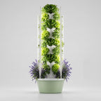 Tour hydroponique Botaverra avec éclairage LED, garnie de laitues et de lavande, sur fond clair